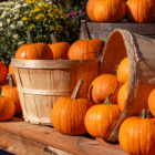Light brown wooden baskets sit on a wooden table full of small orange pumpkins.