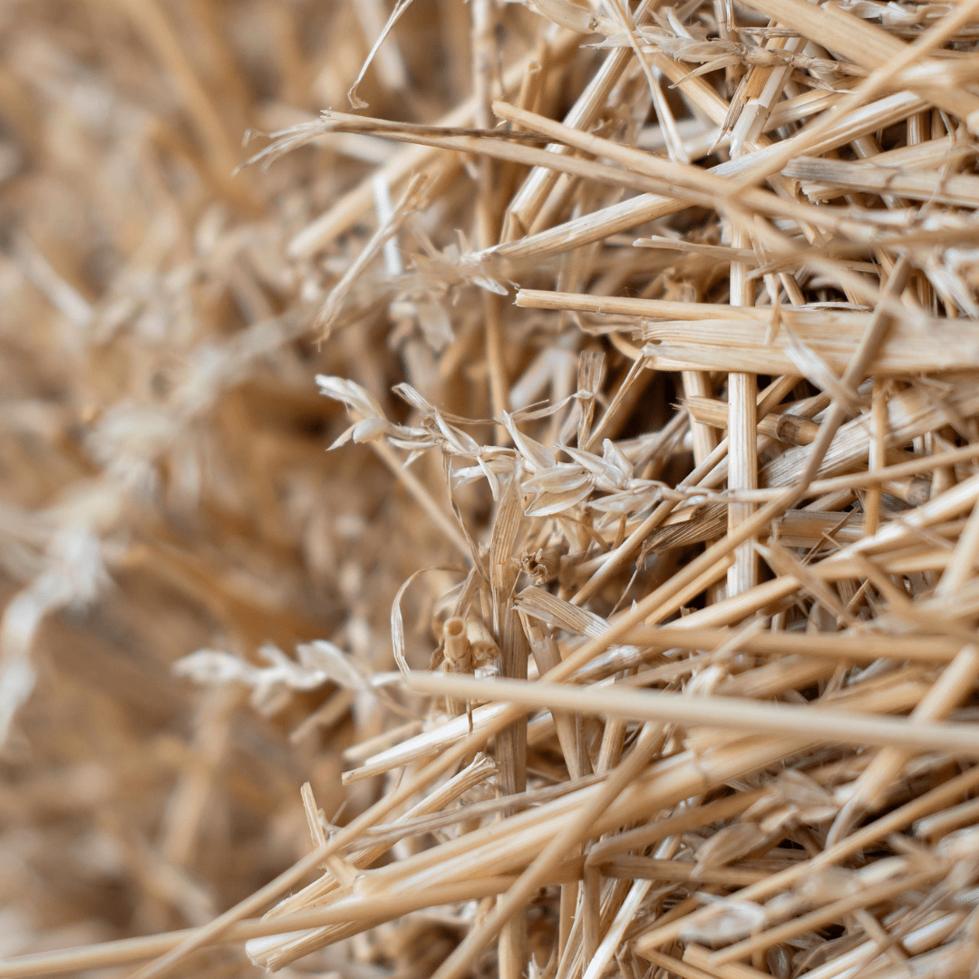 A close-up of strands of straw in a bale of straw.
