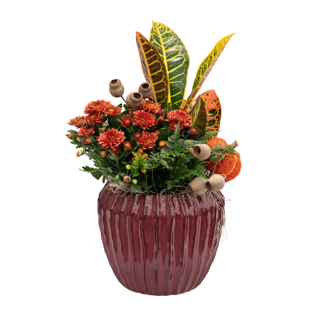 158 A fall-themed indoor mixed planter in orange, yellow, and burgundy tones.
