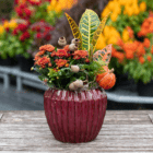 A fall-themed indoor mixed planter in orange, yellow, and burgundy tones sits on a wooden table.
