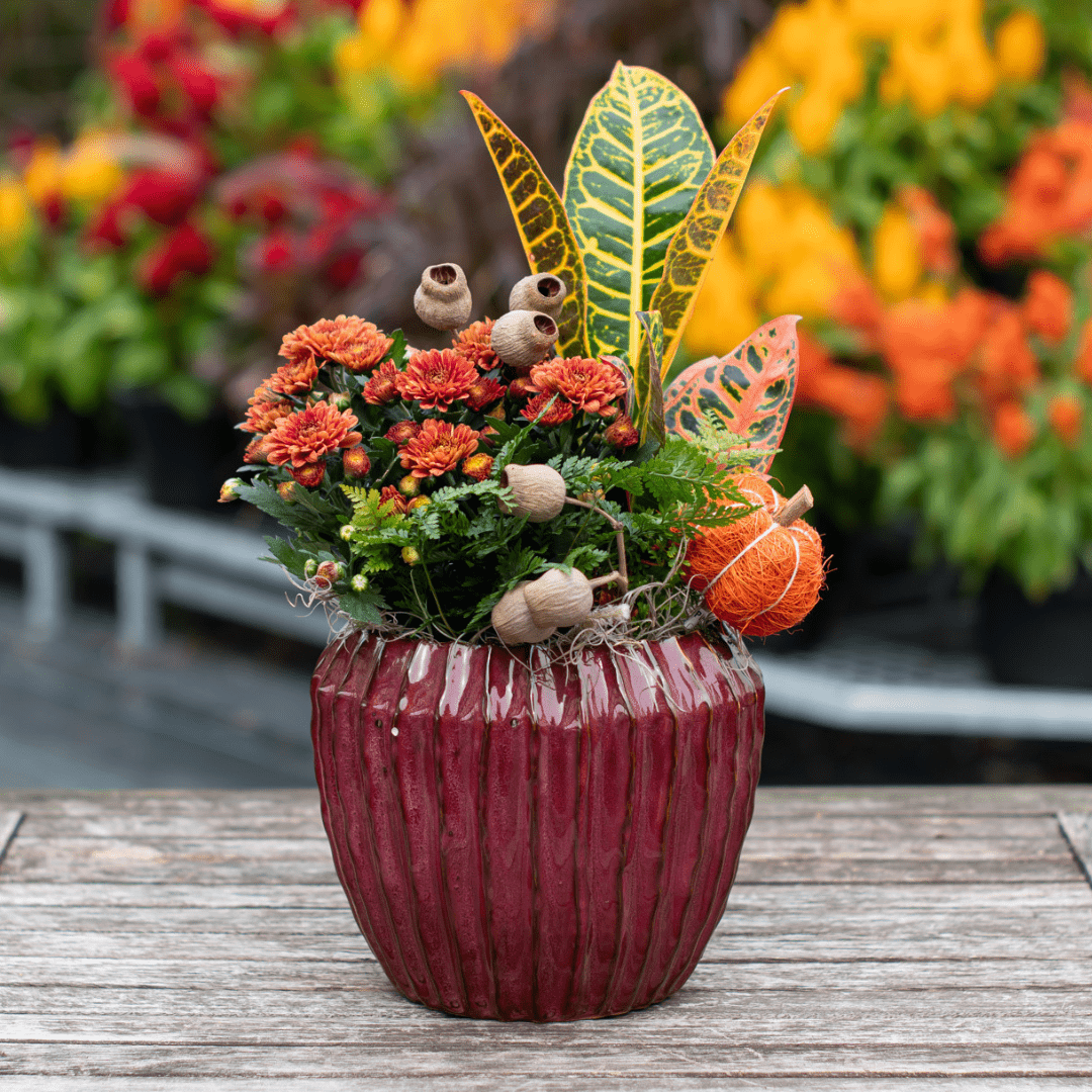 A fall-themed indoor mixed planter in orange, yellow, and burgundy tones sits on a wooden table.