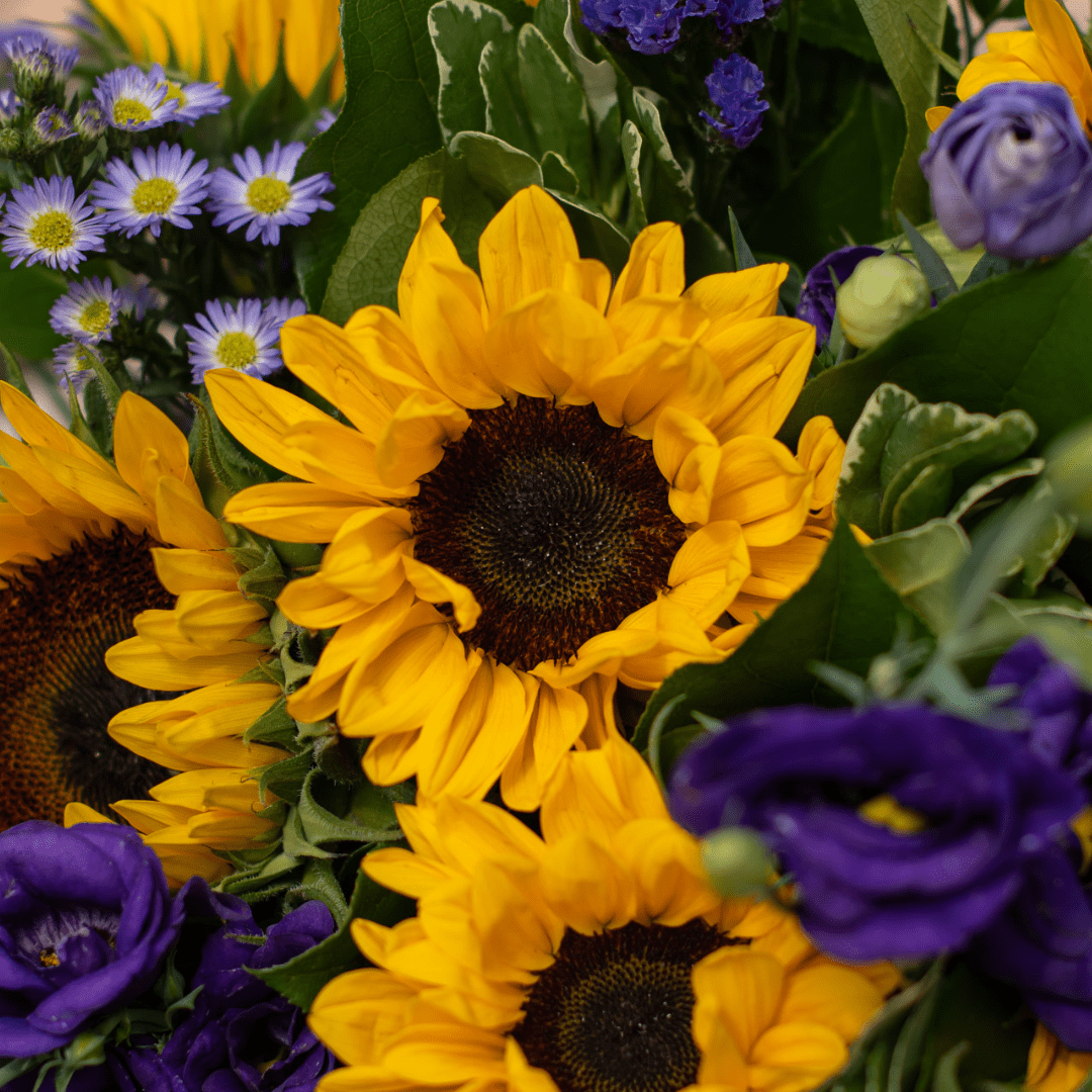 A close-up of a golden sunflower with a dark center in a yellow and purple fresh floral bouquet.