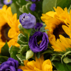 A close-up of purple lisianthus in a yellow and purple fresh floral bouquet.