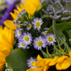 A close-up of small light purple asters with yellow centers in a yellow and purple fresh floral bouquet.