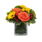 An orange, yellow, red, and lime green floral arrangement in a glass cube.