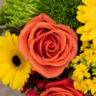 A close-up of an orange rose in a fresh floral arrangement.