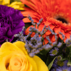 A close-up of purple limonium in a fresh floral arrangement.