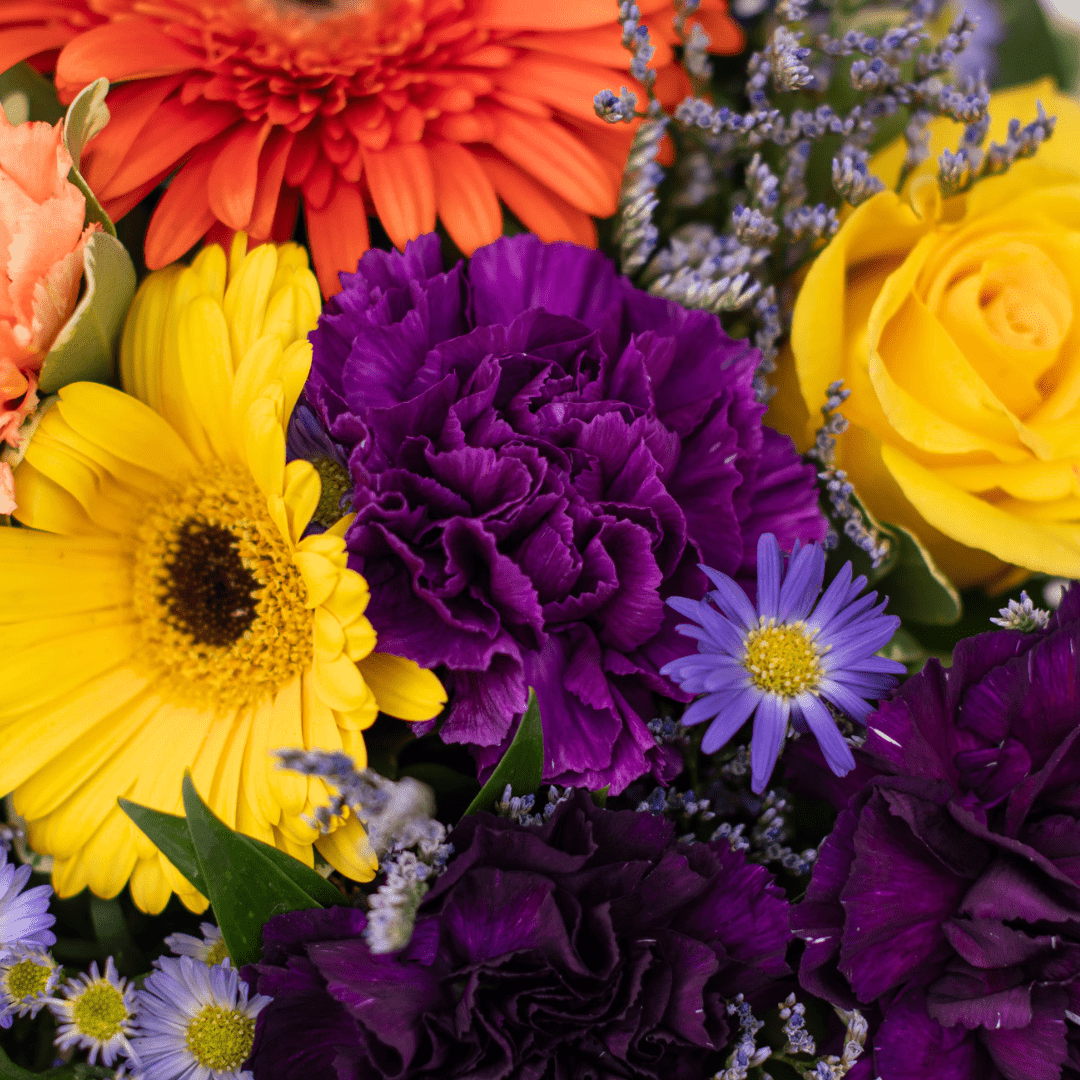 A close-up of a purple carnation in a fresh floral arrangement.