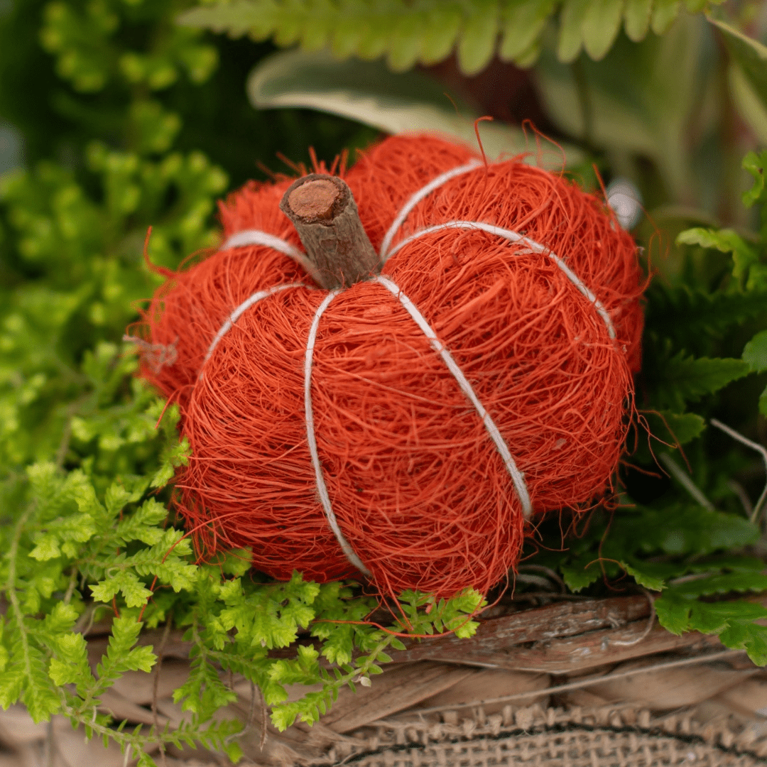 A close-up of a small orange decorative wicker pumpkin in a fall-themed indoor mixed planter.