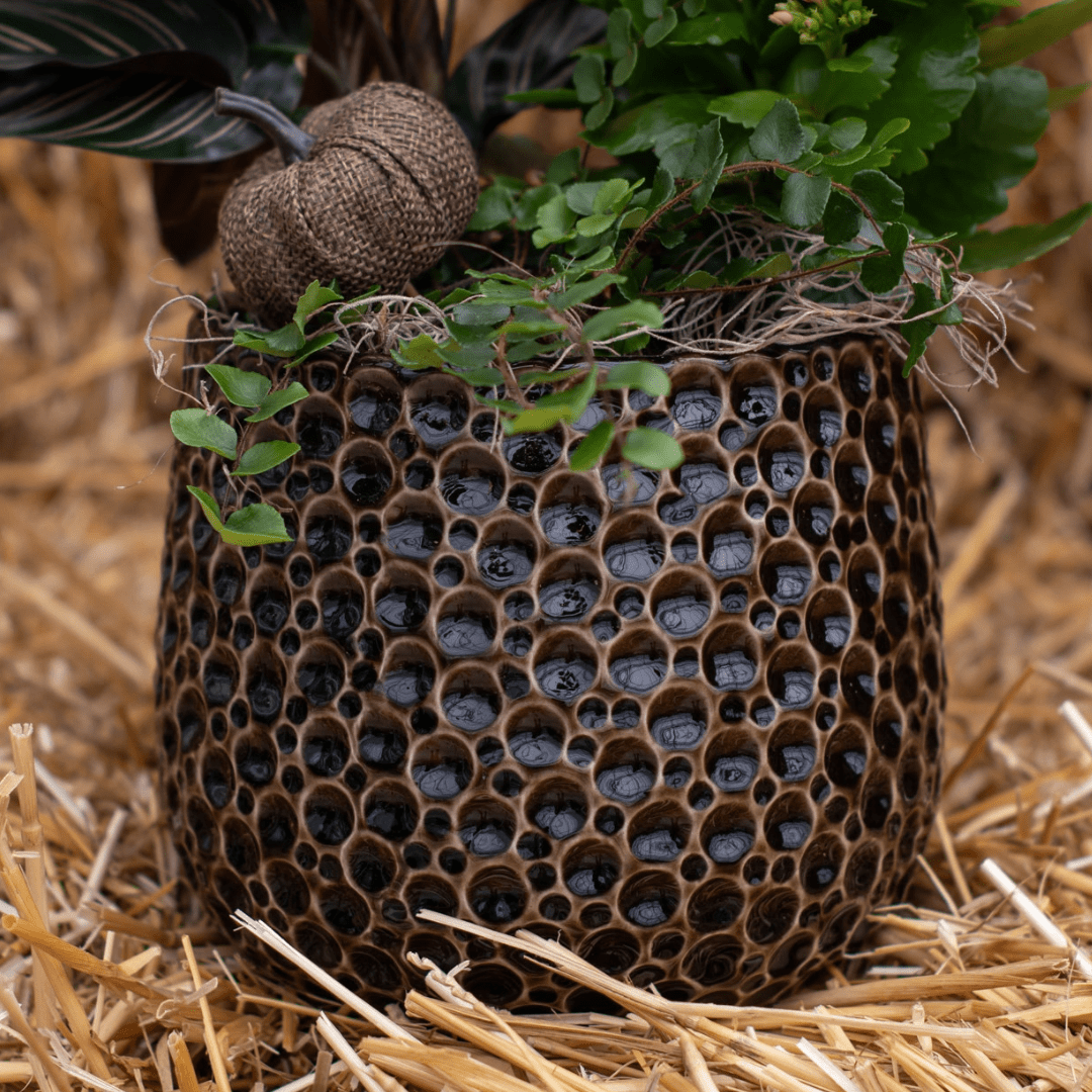 A close-up of a dark brown bubbly pot as part of a fall-themed indoor mixed planter sitting on a bale of straw.