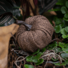 A close-up of a small brown burlap pumpkin pick in a fall-themed indoor mixed planter.