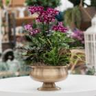 A fall-themed indoor mixed planter with a fuchsia orchid, assorted greenery, a decorative root ball and Spanish moss in a gold metal pedestal container. It sits on a white wooden table.