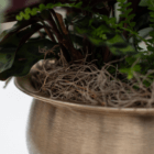 A close-up of brown Spanish moss in a gold metal pedestal container as part of a fall-themed indoor mixed planter.