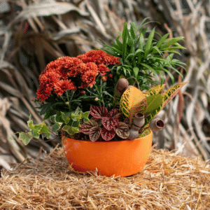 Premium Planter