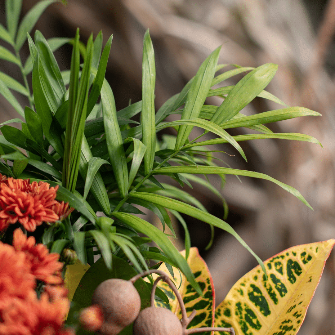 A close-up of a bella palm leaf in a fall-themed indoor mixed planter.