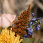 A close-up of rust-coloured amaranthus in a floral bouquet.