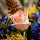 A close-up of a peach rose in a floral bouquet.