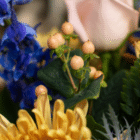 A close-up of white hypericum berries in a floral bouquet.