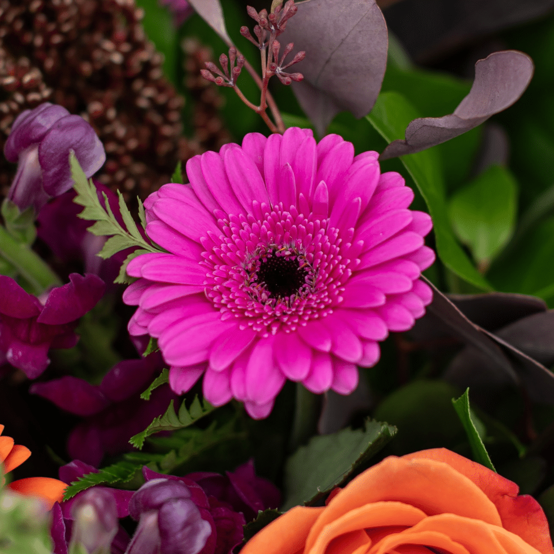 A close-up of a pink gerbera in a floral bouquet.