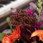 A close-up of brown broom corn in a floral bouquet.