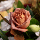 A close-up of an orange-blush rose in a floral bouquet.