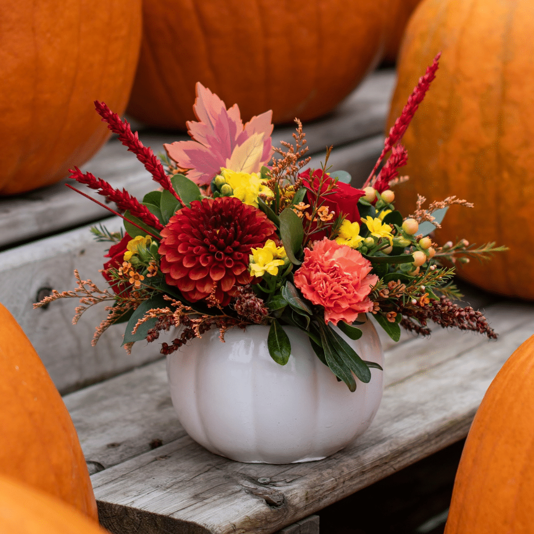 A fall floral arrangement in a white ceramic pumpkin with burnt-orange dahlias, peach carnations, yellow kalanchoes, etc. The arrangement sits amongst real orange pumpkins.