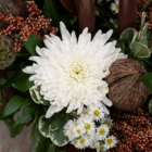 A close-up of a white spider mum in a fall floral arrangement.