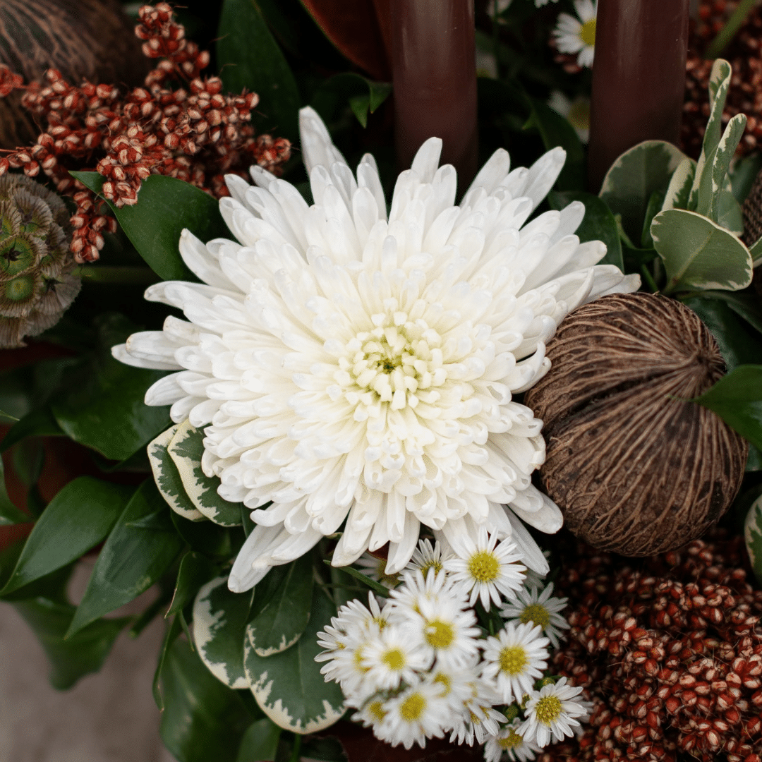 A close-up of a white spider mum in a fall floral arrangement.